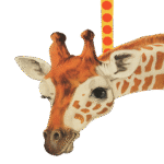 ChatGPT Image 29 ago 2025, 18_43_08